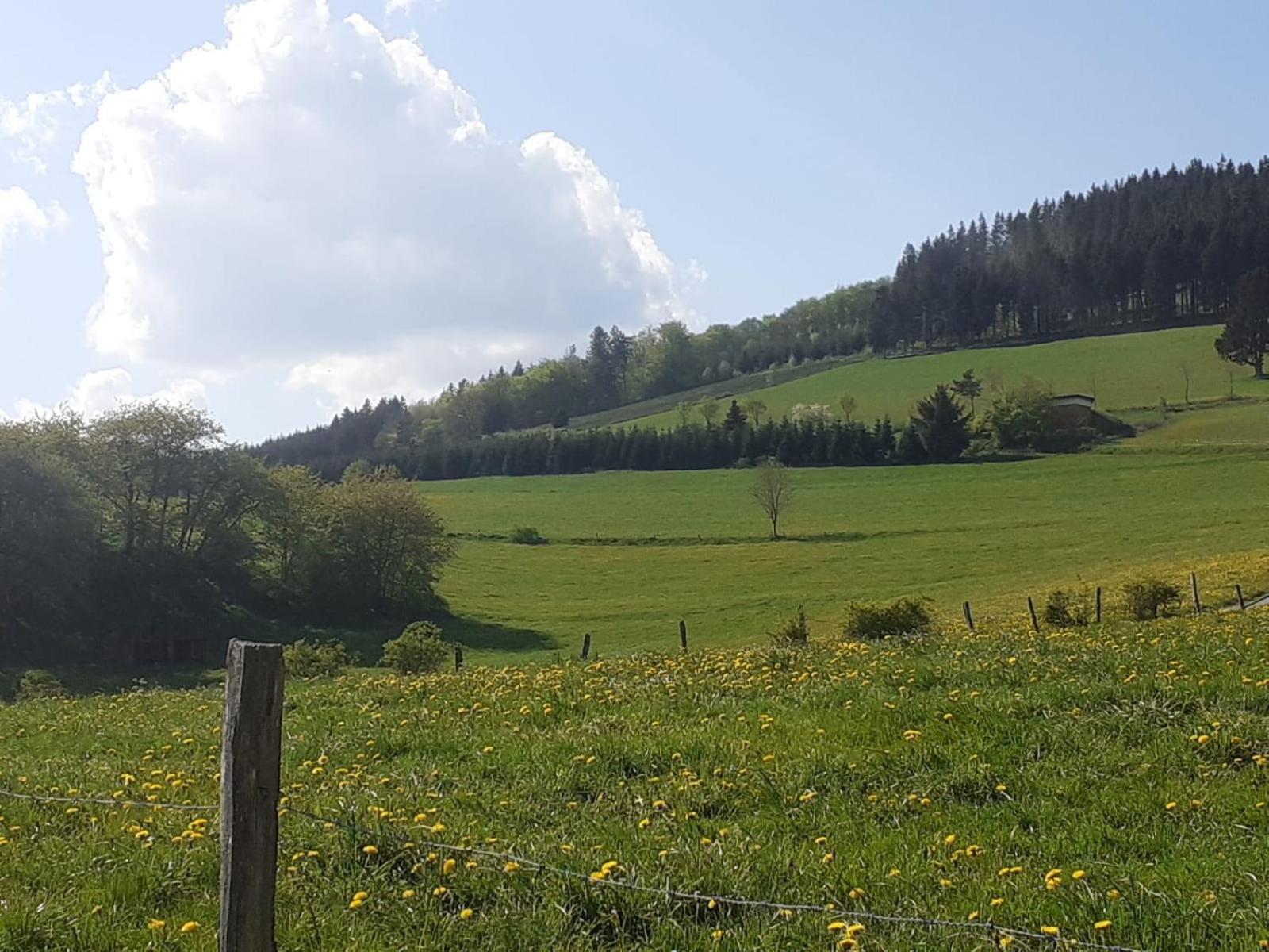 Ferienwohnungen Sternenhimmel Whg 1 Medebach Exterior photo